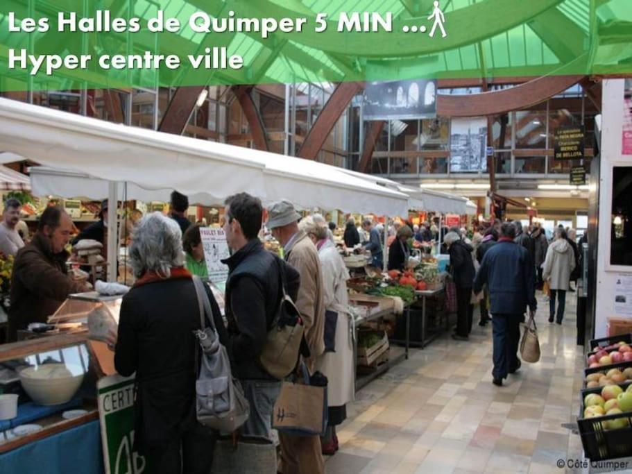 Oo Le Jardin Oo Paisible Studio Equipe Et Bien Place Quimper Buitenkant foto